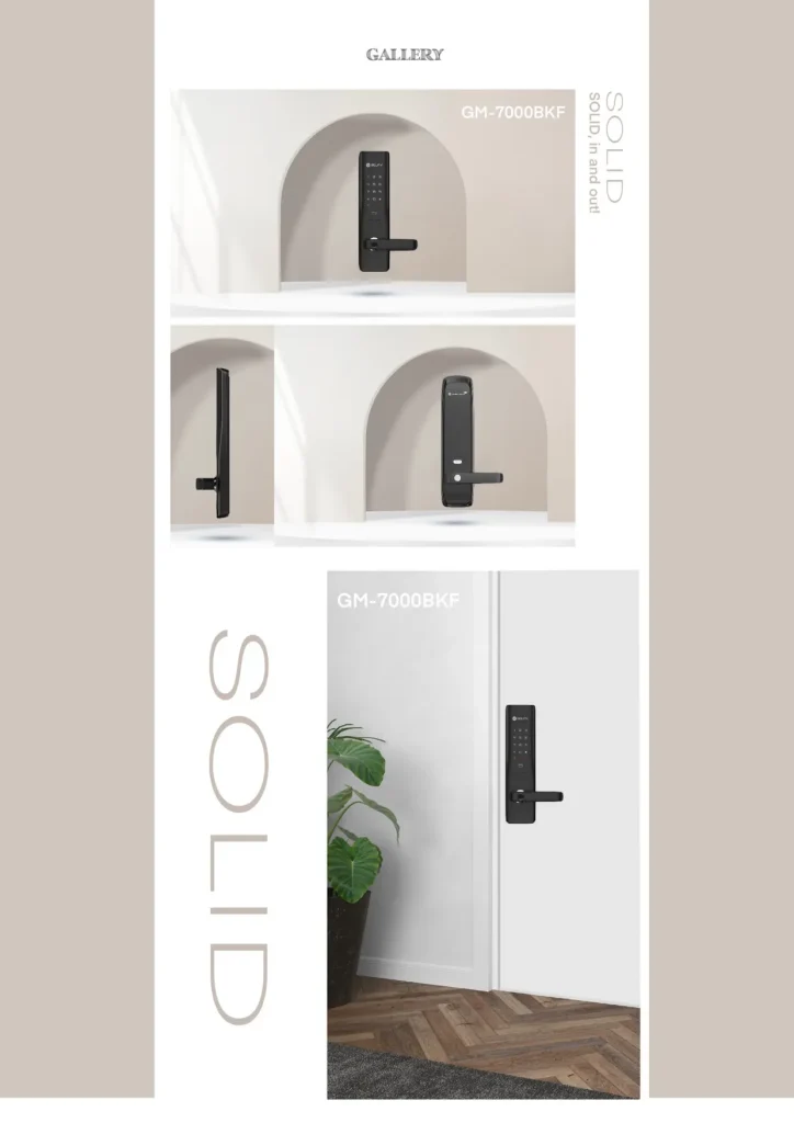 solity-gm7000bk-fire-rated-lock